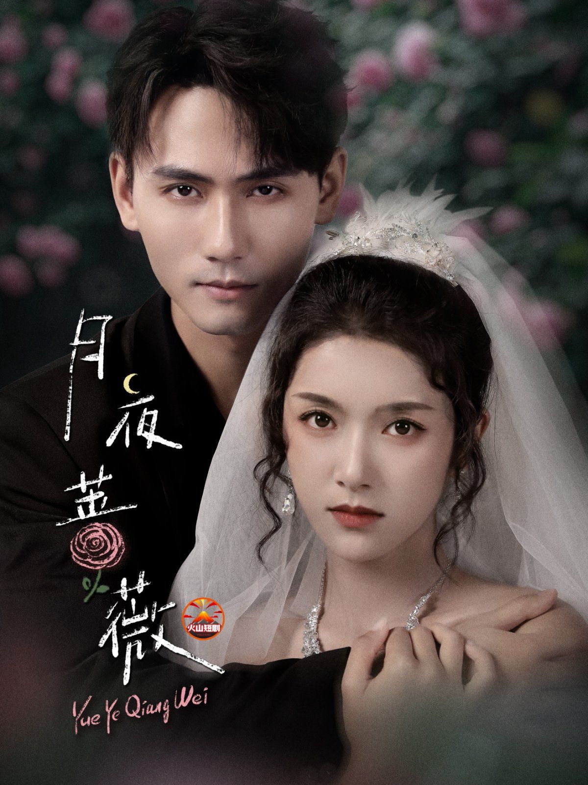 月夜蔷薇(全集)